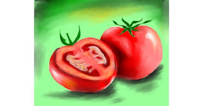 Drawing of Tomato by Freny