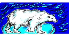 Drawing of Polar Bear by mo