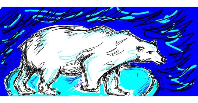 Drawing of Polar Bear by mo