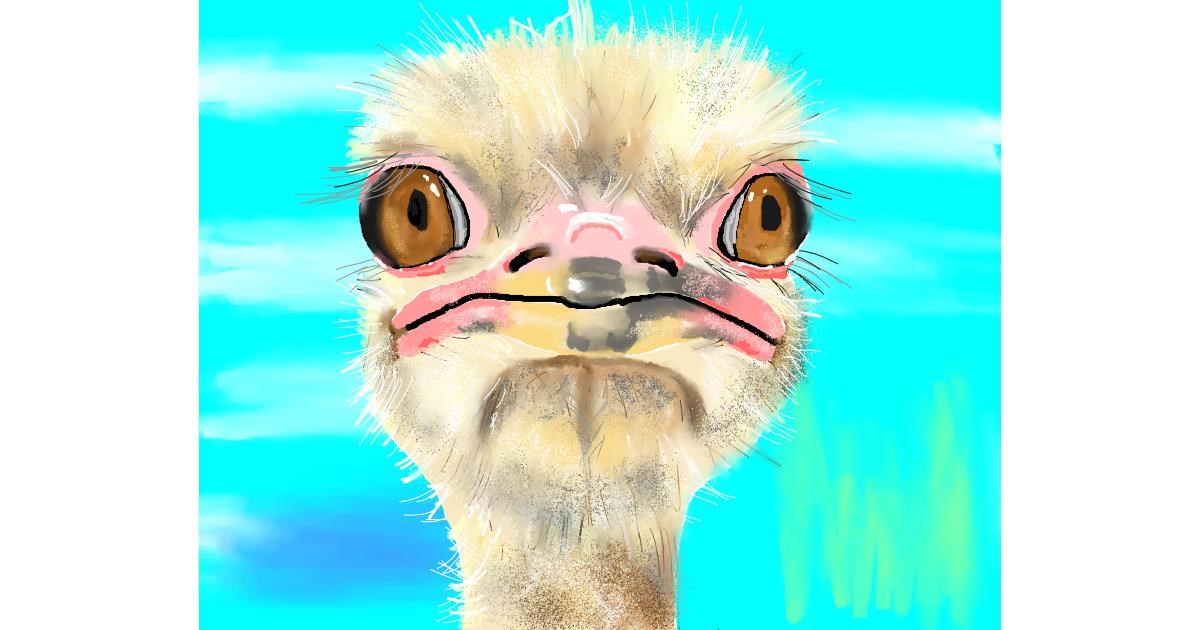 Drawing of Ostrich by Cec