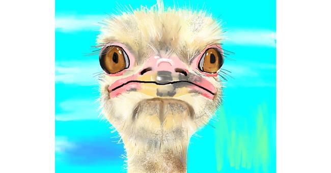Drawing of Ostrich by Cec