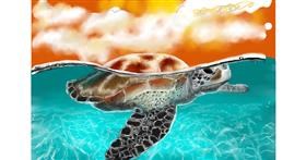 Drawing of Sea turtle by Wizard