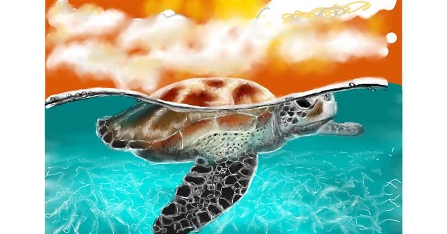 Drawing of Sea turtle by Wizard