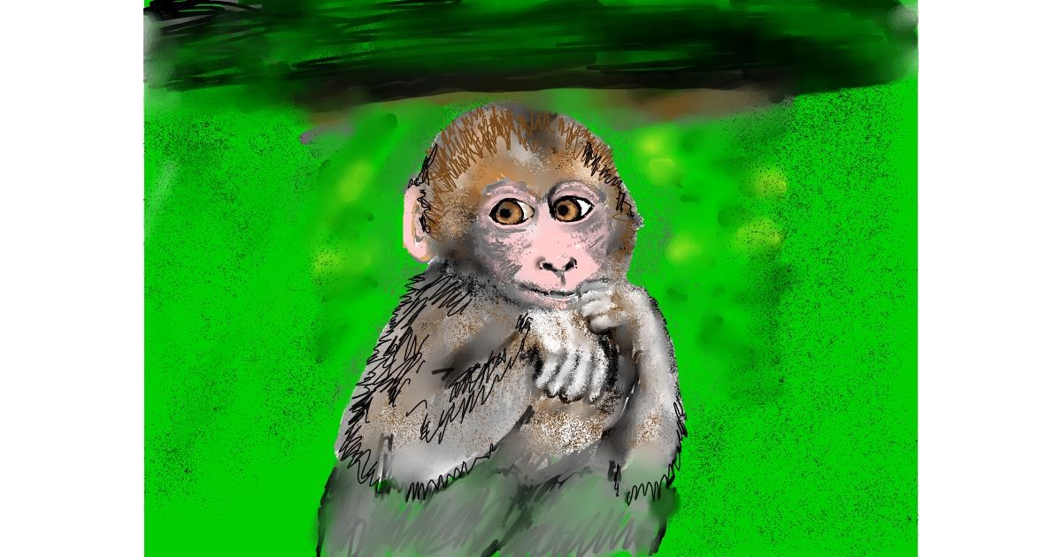 Drawing of Monkey by SAM AKA MARGARET 🙄