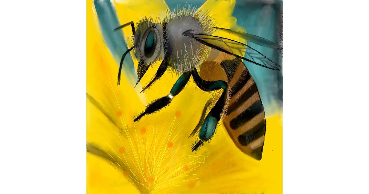 Drawing of Bee by Lou