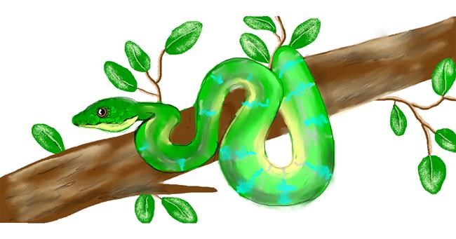 Drawing of Snake by Debidolittle