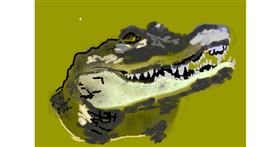 Drawing of Alligator by 𝐓𝐎𝐏𝑅𝑂𝐴𝐶𝐻™