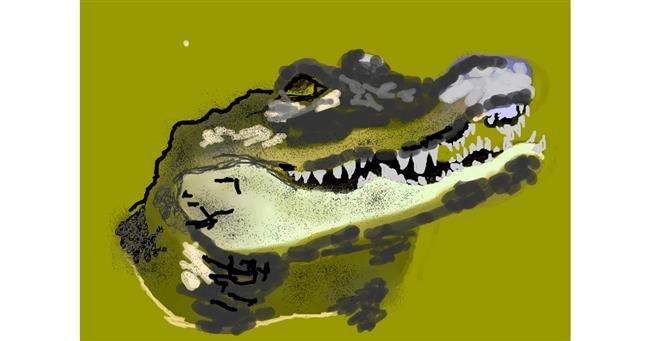Drawing of Alligator by 𝐓𝐎𝐏𝑅𝑂𝐴𝐶𝐻™