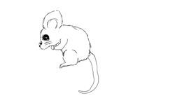Drawing of Mouse by bob