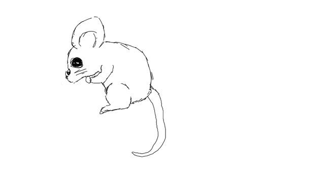 Drawing of Mouse by bob