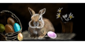 Drawing of Bunny by Çhåching