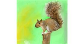 Drawing of Squirrel by Emit