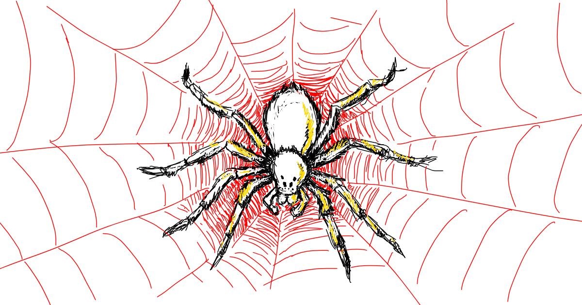 Drawing of Spider by kossara