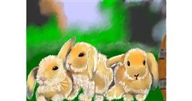 Drawing of Bunny by SAM AKA MARGARET 🙄