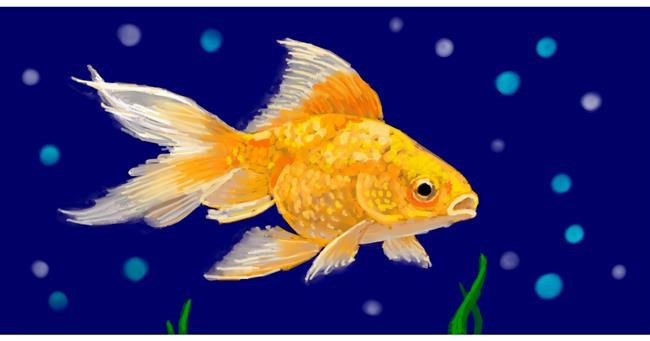 Drawing of Goldfish by shiNIN