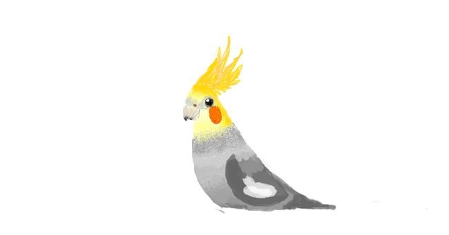 Drawing of Bird by coconut