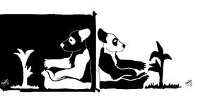 Drawing of Panda by SHADOW
