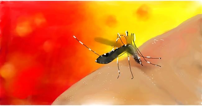 Drawing of Mosquito by Mandy Boggs