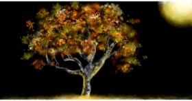 Drawing of Tree by Eclat de Lune