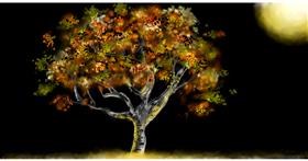 Drawing of Tree by Eclat de Lune