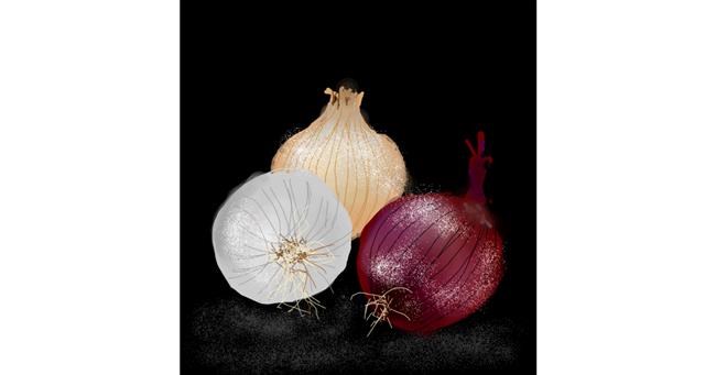 Drawing of Onion by Eclat de Lune