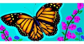 Drawing of Butterfly by justme❤️