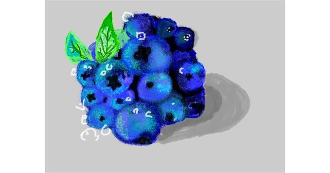 Drawing of Blueberry by 𝐓𝐎𝐏𝑅𝑂𝐴𝐶𝐻™