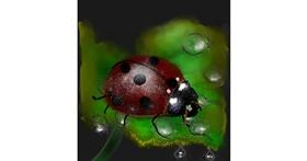 Drawing of Ladybug by Eclat de Lune