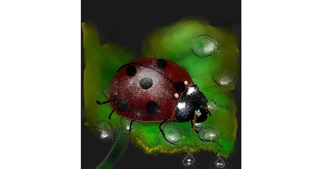 Drawing of Ladybug by Eclat de Lune