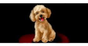 Drawing of Poodle by Annie