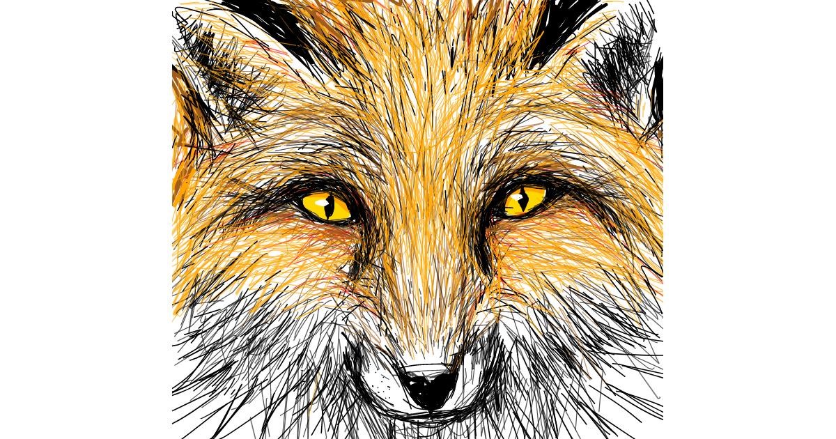 Drawing of Fox by Primrose