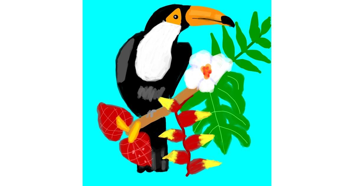 Drawing of Toucan by MaRi