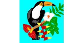 Drawing of Toucan by MaRi