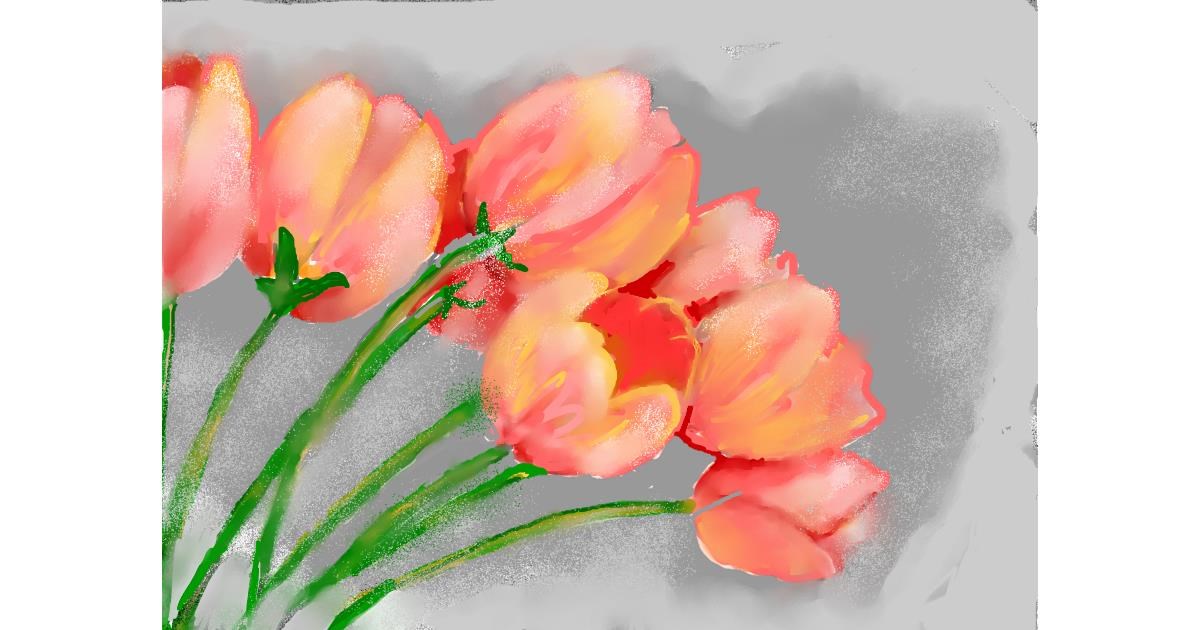 Drawing of Tulips by SAM AKA MARGARET 🙄