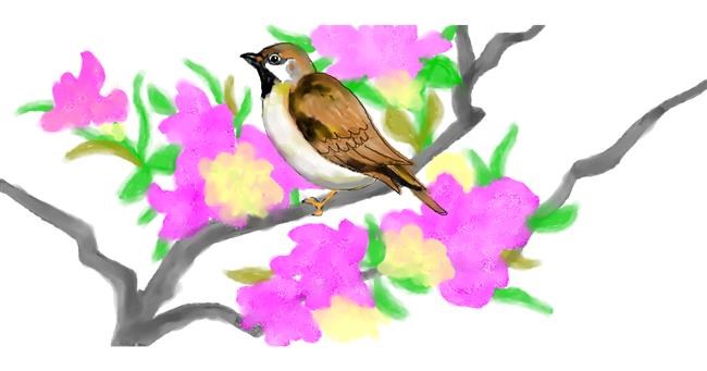 Drawing of Sparrow by Debidolittle