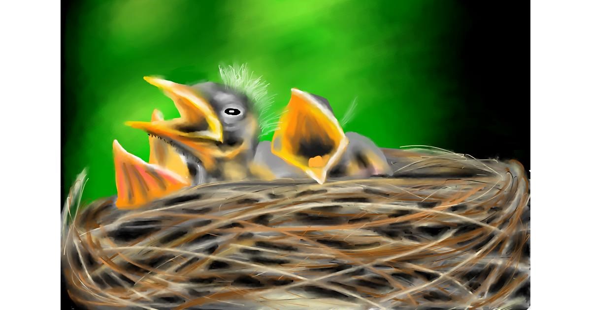 Drawing of Nest by RadiouChka