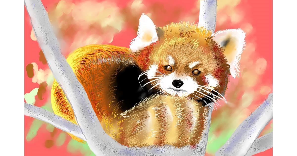 Drawing of Red Panda by GJP