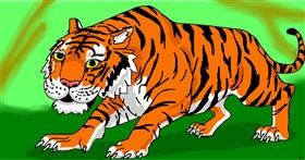 Drawing of Tiger by Swimmer 