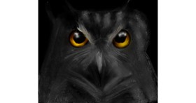 Drawing of Owl by Lou