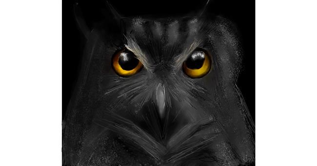 Drawing of Owl by Lou