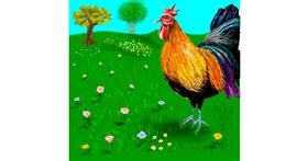 Drawing of Chicken by Andromeda