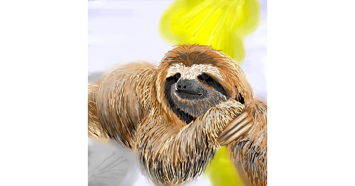 Drawing of Sloth by Vinci