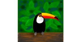 Drawing of Toucan by Mitra