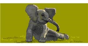 Drawing of Elephant by shiNIN