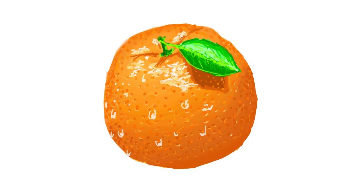 Drawing of Orange by Sam
