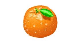 Drawing of Orange by Sam