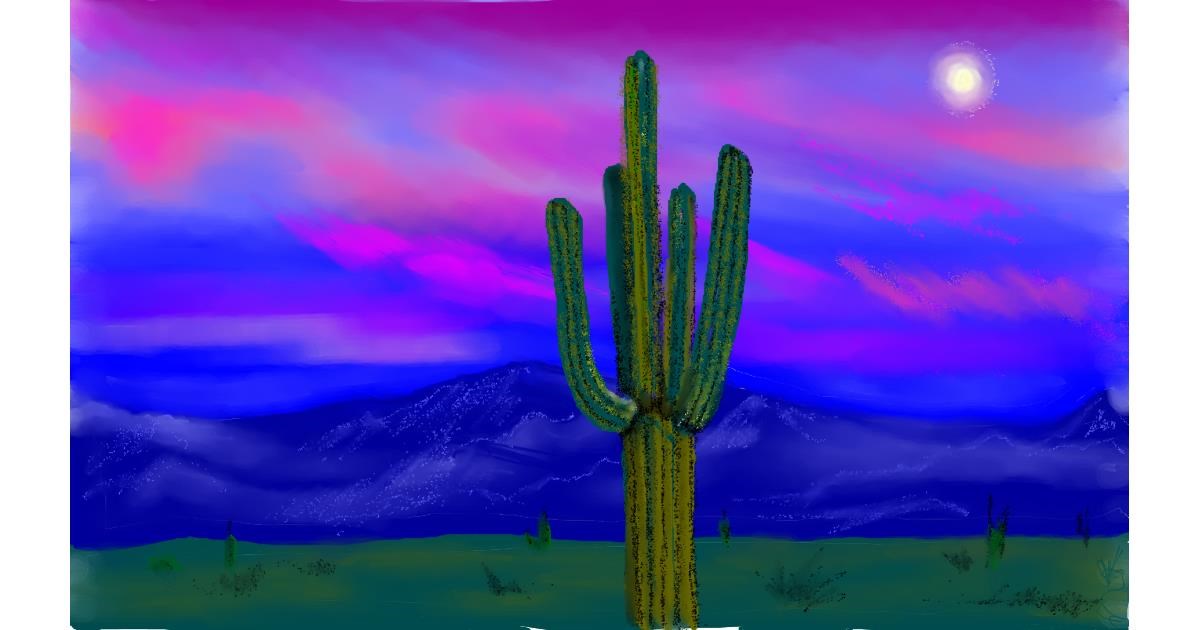 Drawing of Cactus by Tim