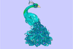 Drawing of Peacock by ThasMe13