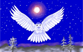Drawing of Owl by GJP