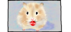 DebbyLee の ハムスター の絵